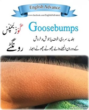 Learn English to Urdu words translation Urdu to English words translation Translation