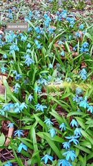 Allah pak k ilawa kisi sy umeed na rakho