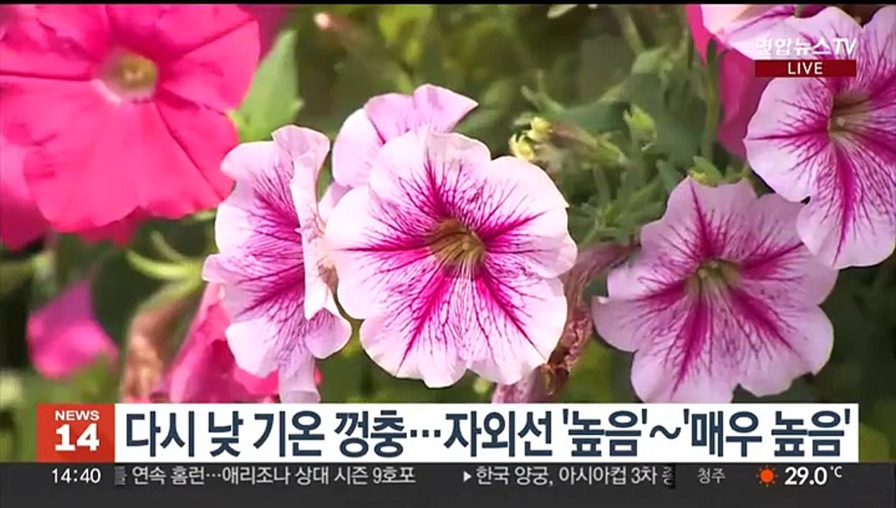[날씨] 휴일 전국 30도 안팎 더위…남부 내륙 요란한 소나기