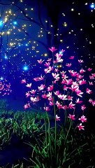 Nature Sounds Flowers