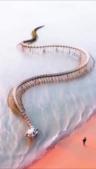 Places don’t feel real in France #travel #explore #adventure #nature