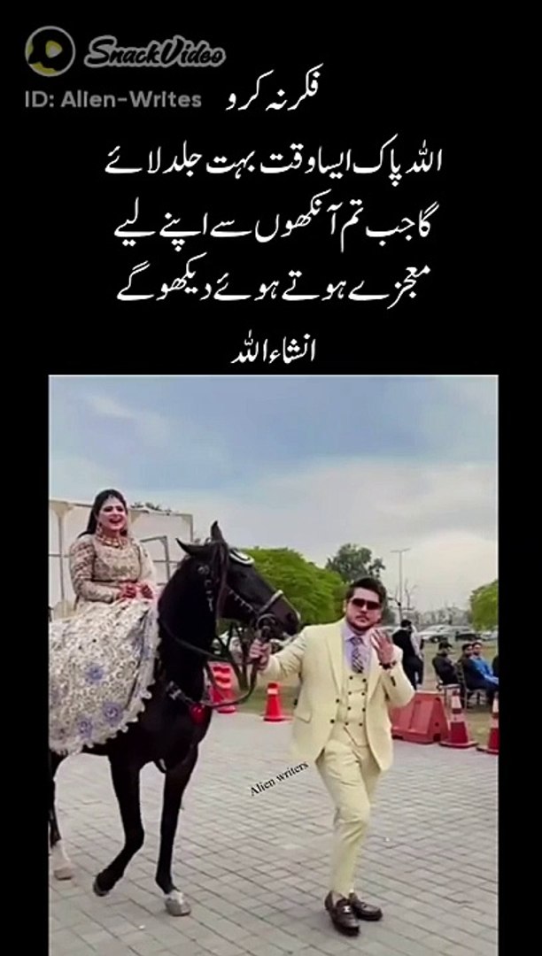 Funny video./entertainment video