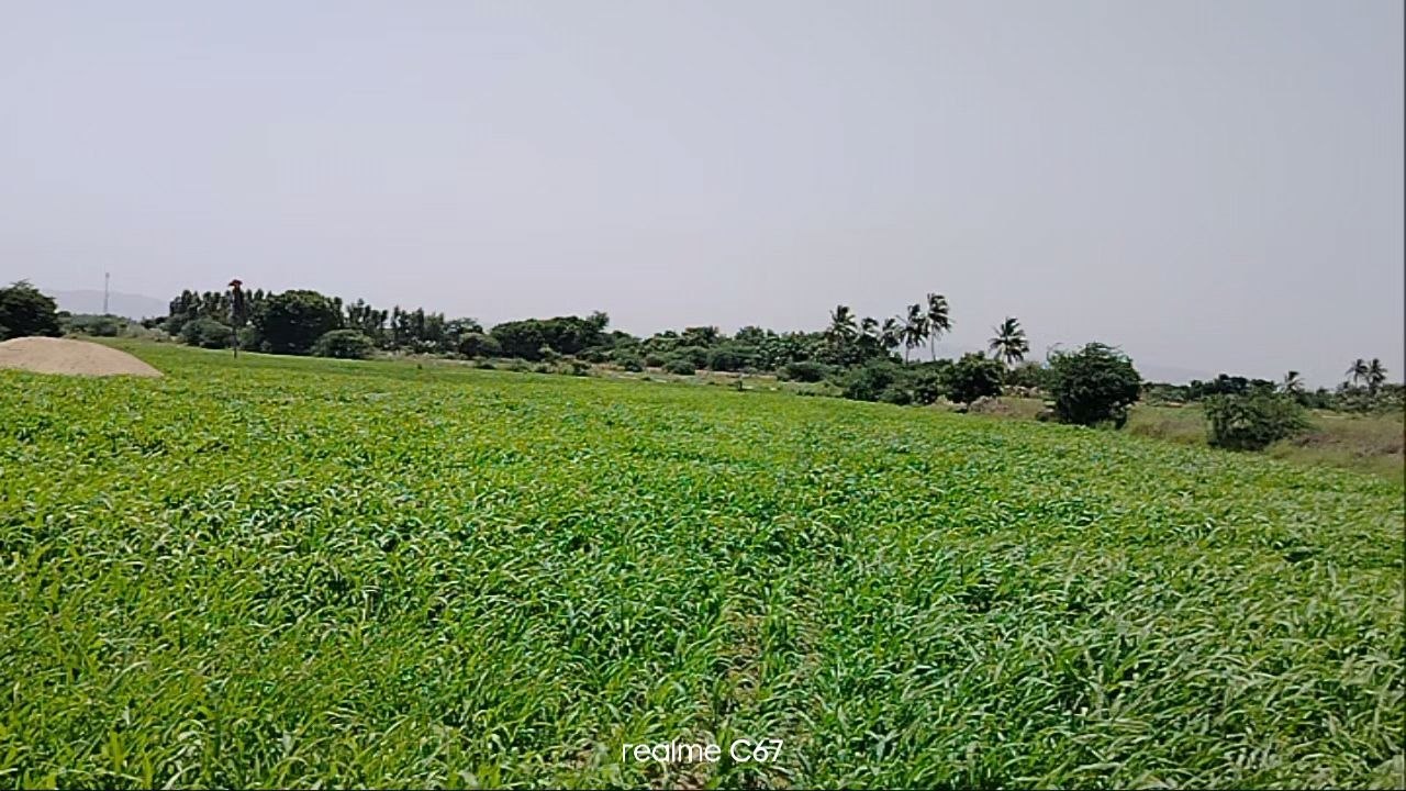 beautiful view