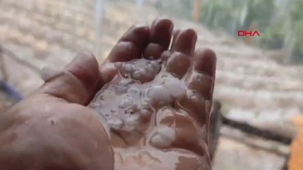 Adana'da fındık büyüklüğünde dolu yağışı ekili alanları vurdu, yollarda taşkın oluştu