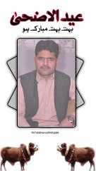 Eid ul azha ki khushiyan