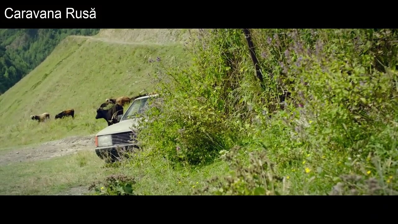 Decizia de lichidare (2018) subtitrat în romana Film online subtitrat in romana 2024