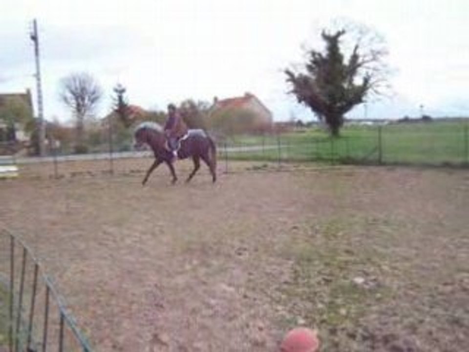 Séance trot Rhawa avril 08