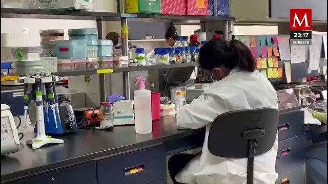 OMS: Muerte de paciente por H5N2 en México no atribuible a gripe aviar