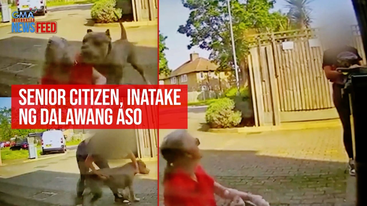 Senior citizen, inatake ng dalawang aso | GMA Integrated Newsfeed
