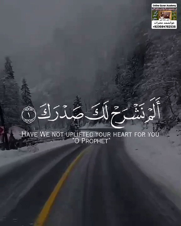 VID-20240601-WA0041