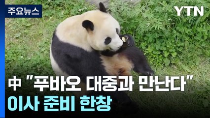 中 "푸바오 12일 대중과 만난다"...이사 준비 한창 / YTN