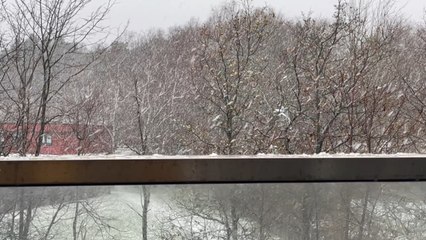 Snowfalls