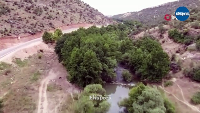 Diyarbakır'da sıcaktan bunalan buraya koşuyor