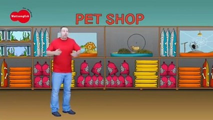 Animal Story for Kids from Maggie And Steve NEW | Learning magic English with Wow English TV