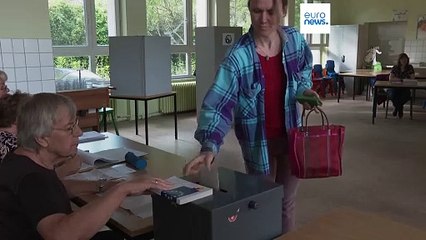 Los votantes europeos acuden a las urnas para decidir el futuro de la UE