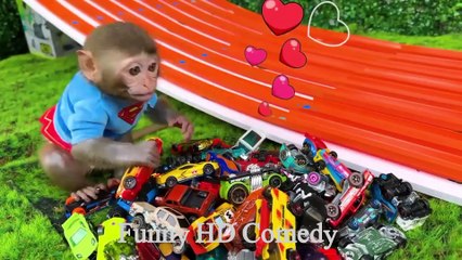 Monkey  baby & Dog  baby fun || very funny entertainment video || part 1 ||