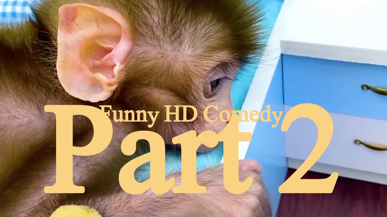 Monkey  baby &  baby fun || Toilet to other home work || funny video comedy video part 2 ||
