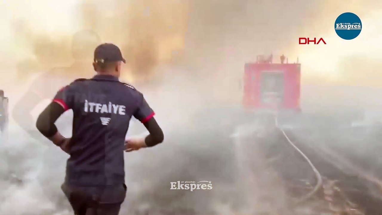 Şırnak’a yıldırım düştü, buğday tarlaları kül oldu