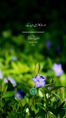 Quran urdu translation whatsapp status #shorts #quranurdutranslation