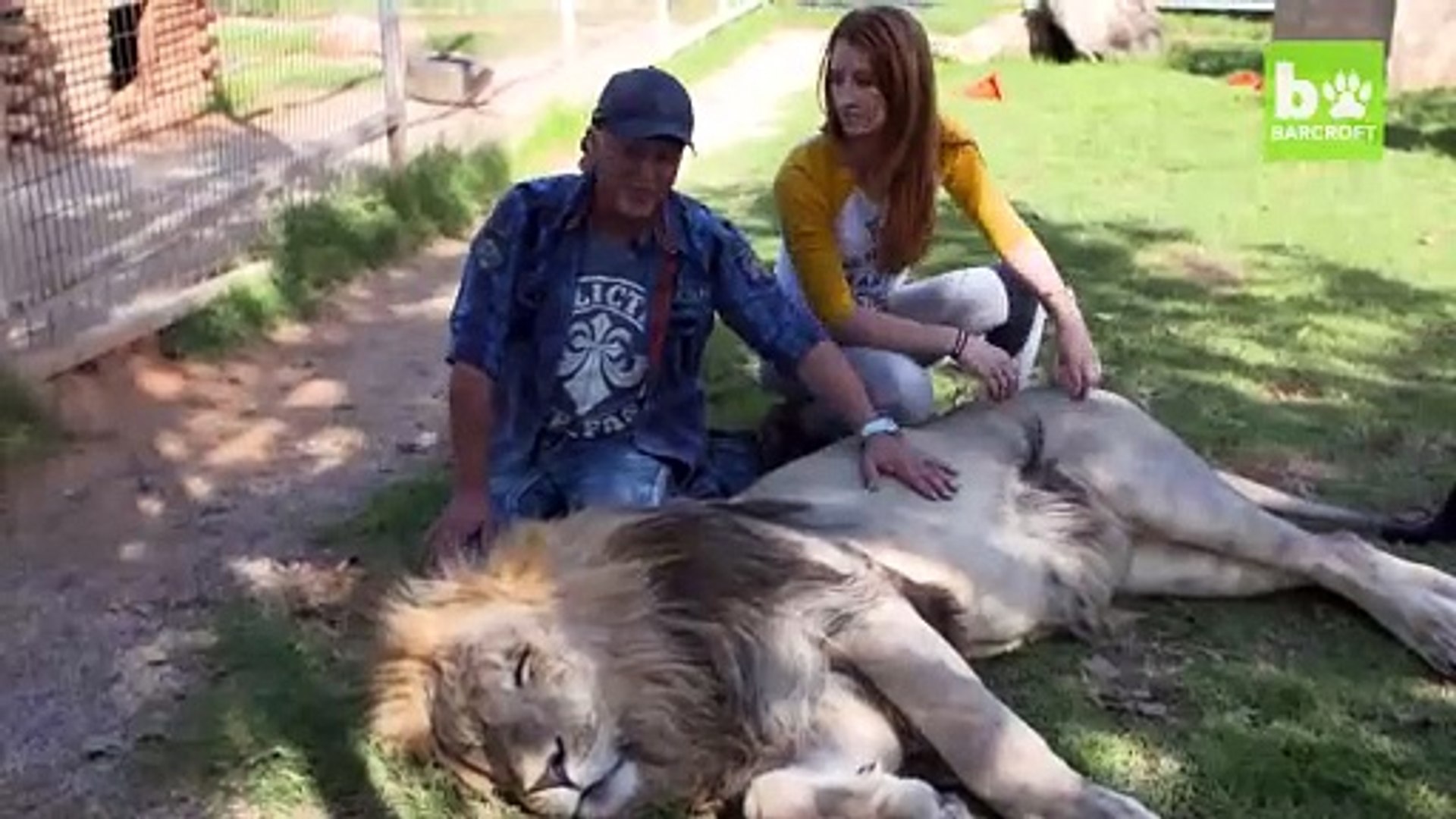 ⁣Very nice dog UK dog