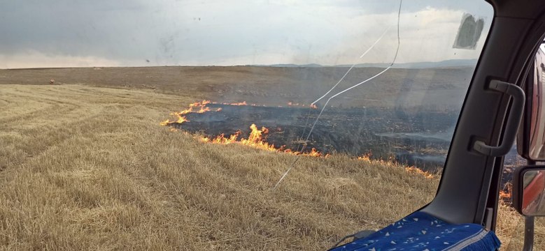 Şırnak'ta 'yıldırım' yangınları; buğday ekili araziler ile meralar yandı