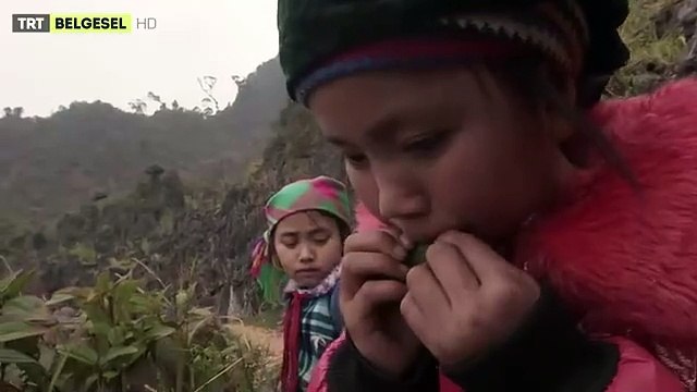 Sur le chemin de l'école Bande-annonce (TR)