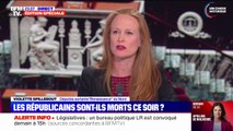 Alliance LR/RN aux législatives: Violette Spillebout (Renaissance) affirme que son parti est 