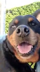 Massage Mazamétain Relaxant