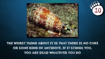 If you see this, Run Fast and Ask for Help!