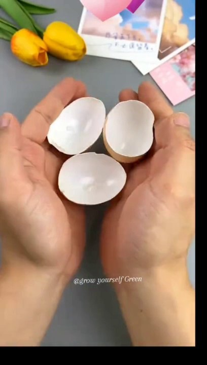 Creativity with eggs