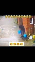 y2mate.so - Fanny video very funny video omg  #funnyvideo#funny #funnyvideos#memes #funnymemes-Xkg123RPmrg-360p-1717943757