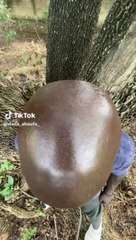 66ae6d58d30278d9b1db748a0b22e1a1