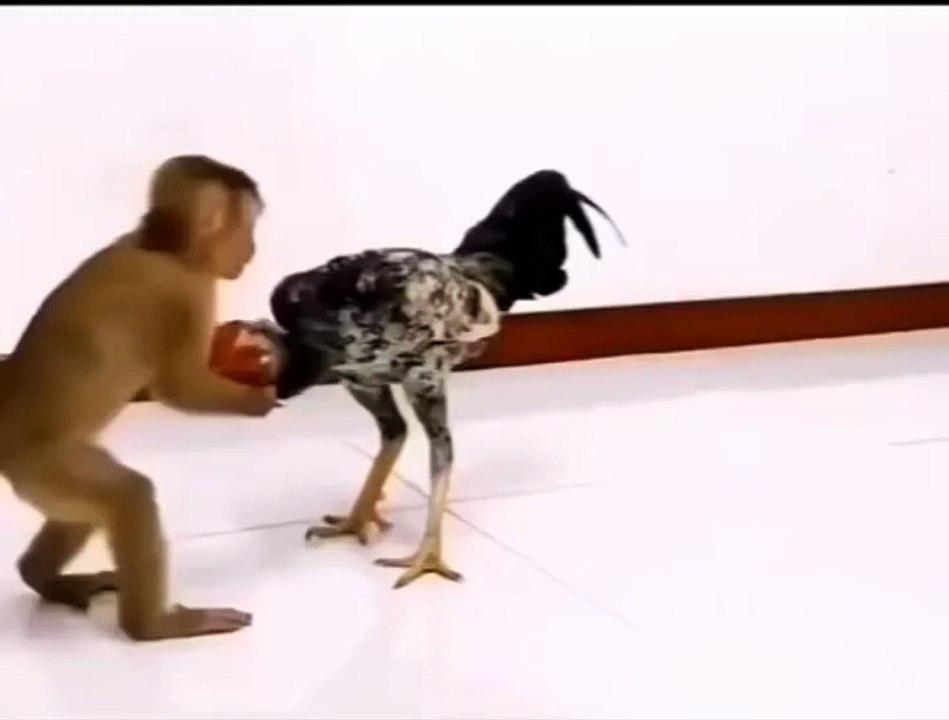 An_z6iW1xq_-YpuqvVJI5VBAaRBP-nmWDzToeeu8DtFgEqBNzQgNuWXwptT7aaZ5Q3rI27I7bdgYuh8K7ppQTJaR