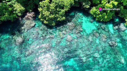 (Nauru) is one of the Hidden Country in the world