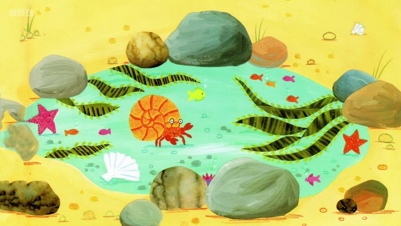 Sharing a Shell  -  Sinead Keenan