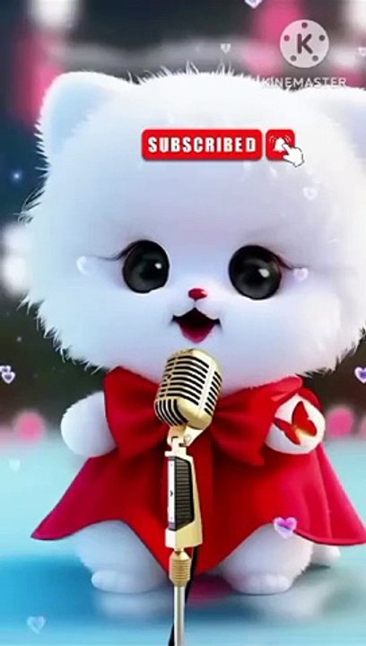 Hasbi rabbi jallallah | Ringtone 2024 | cats naat | cute cat