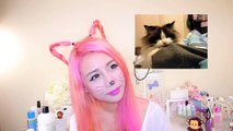 Make cat ears with your own hair - The Wonderful World of Wengie