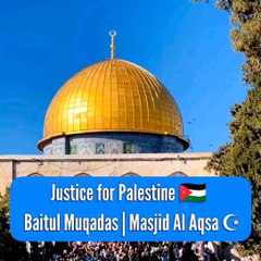 Free Palestine  Save Gaza  Baitul Muqadas | Masjid Al Aqsa ☪️