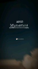 "Beautiful Quran Recitation | Surah Baqarah" #Quran #Shorts