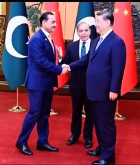 Prime minister sahbaz sharif pmln Pakistan