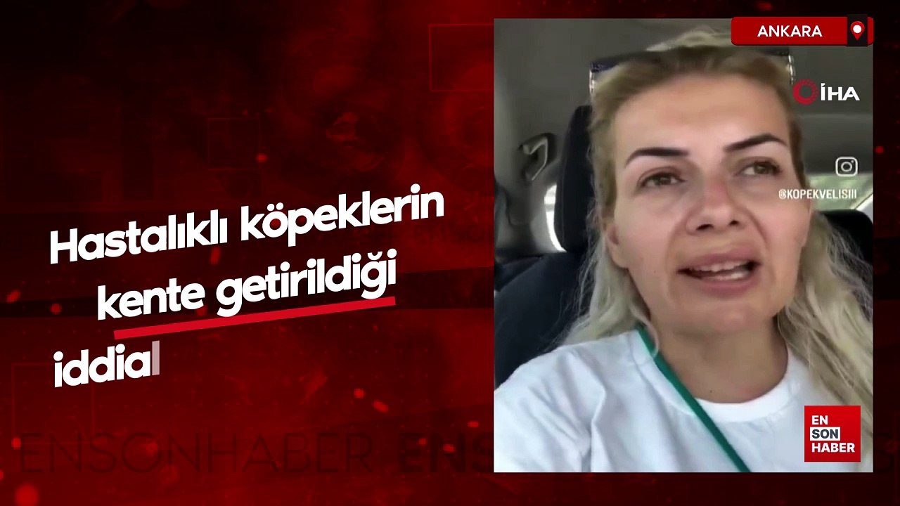 Ankara'da hastalıklı köpeklerin kente getirildiği iddialarına açıklama