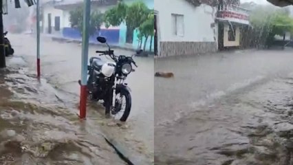Caos en Zarzal: un puente vehicular colapsó y afectó a mil familias