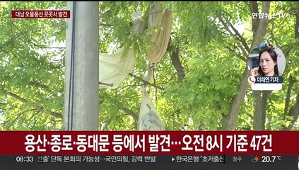 下载视频: 북한 이틀연속 오물풍선 살포…서울 도심 등 곳곳서 발견