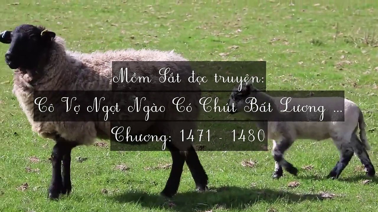 Chương 1471-1480 Cô Vợ Ngọt Ngào Có Chút Bất Lương (Vợ Mới Bất Lương Có Chút Ngọt)