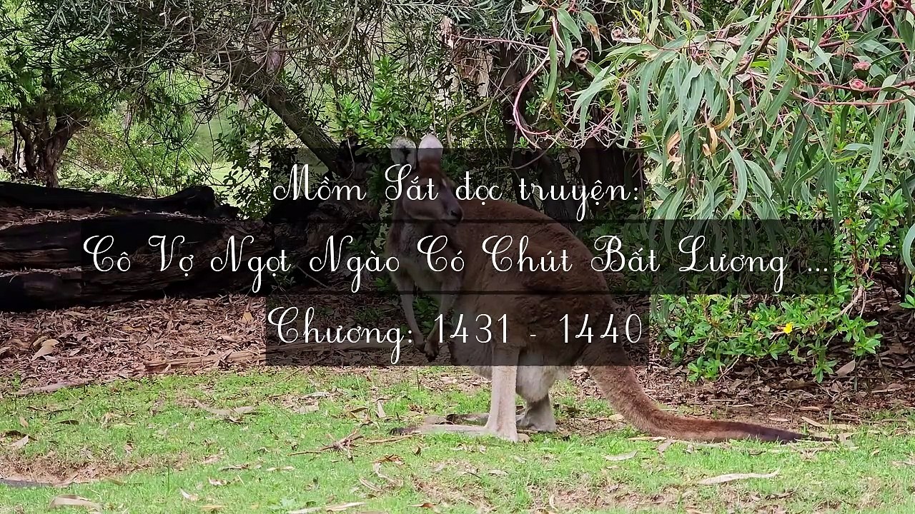 Chương 1431-1440 Cô Vợ Ngọt Ngào Có Chút Bất Lương (Vợ Mới Bất Lương Có Chút Ngọt)