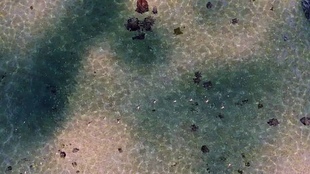 Mes Paysages Bande-annonce (EN)