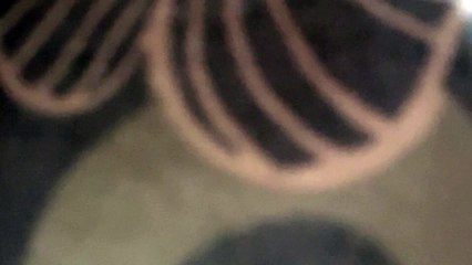 طاهر القادري اور غوث پرستون مين فرق