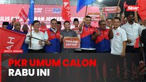 PKR umum calon PRK Sungai Bakap Rabu ini