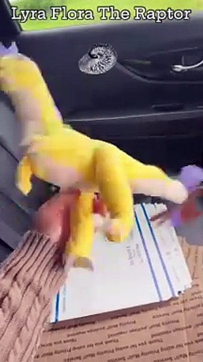Lyra Flora The Raptor Plush