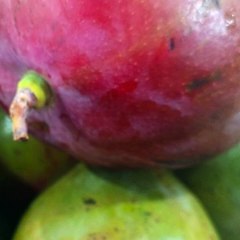 -ANDRÉS DE JESÚS VÉLEZ FRANCO- EL FUTURO DEL PAÍSAJISMO (PARTE 2) (@AndresdeJesus90)